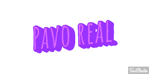 Pavo real Effetto testo