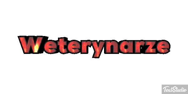Weterynarze Efekt tekstowy