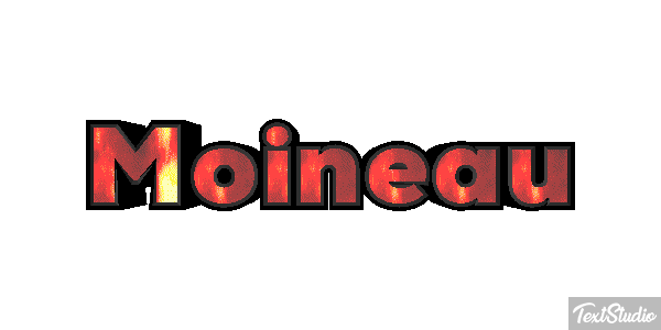 Moineau Effet de texte