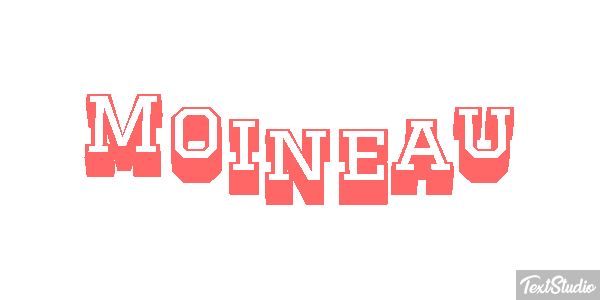 Moineau Effet de texte