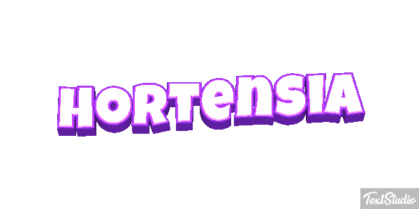 Hortensia Efecto de texto