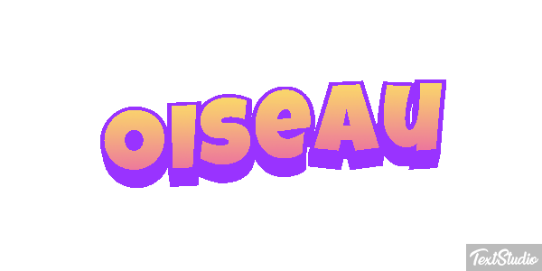 Oiseau Effet de texte
