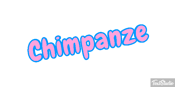 Chimpanzé Efeito do texto