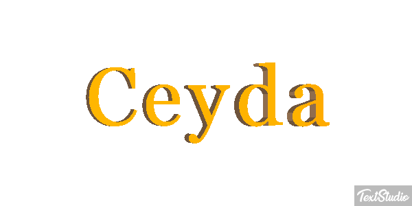 Ceyda テキスト効果