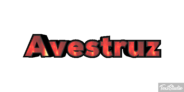 Avestruz Efekt tekstowy