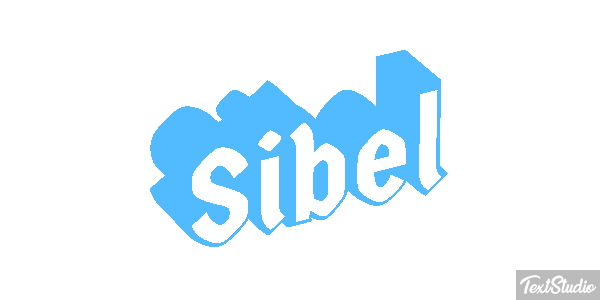 Sibel Metin efekti