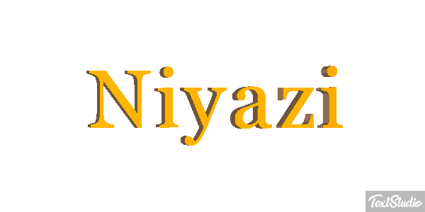 Niyazi Metin efekti