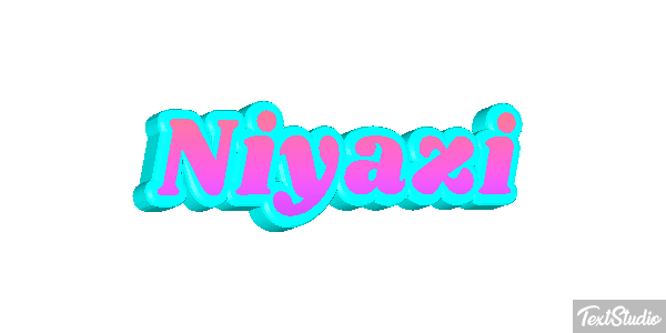 Niyazi Metin efekti