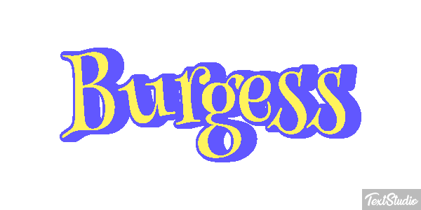 Burgess テキスト効果