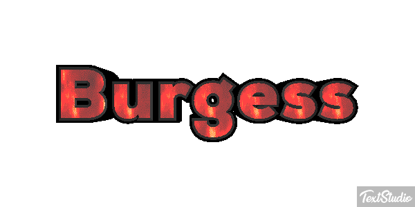 Burgess テキスト効果