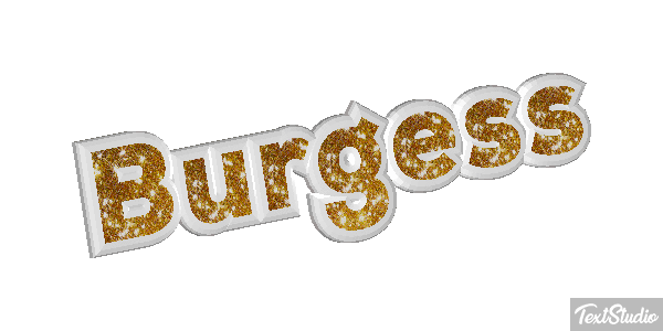 Burgess テキスト効果