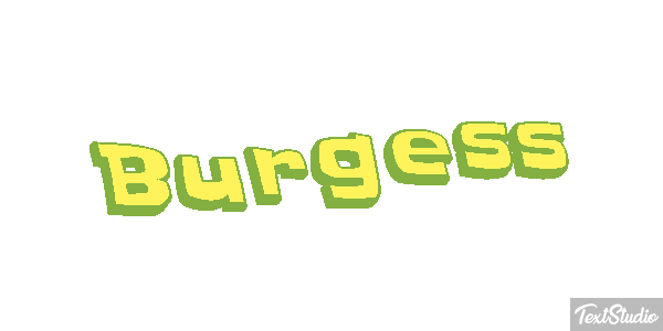 Burgess テキスト効果