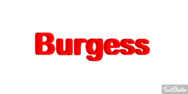 Burgess テキスト効果