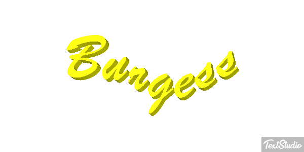 Burgess テキスト効果
