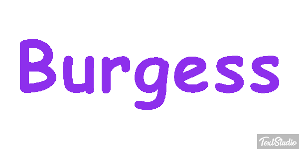Burgess テキスト効果