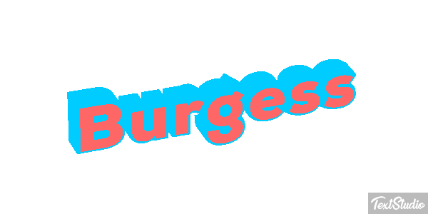 Burgess テキスト効果
