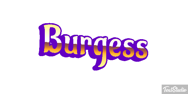 Burgess テキスト効果