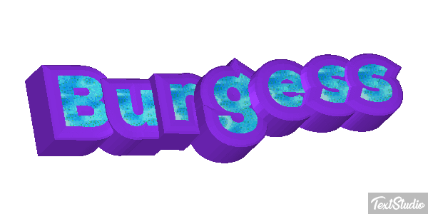 Burgess テキスト効果