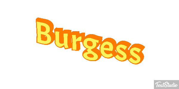 Burgess テキスト効果