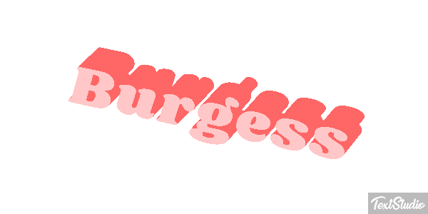 Burgess テキスト効果