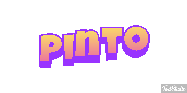 Pinto Text effect