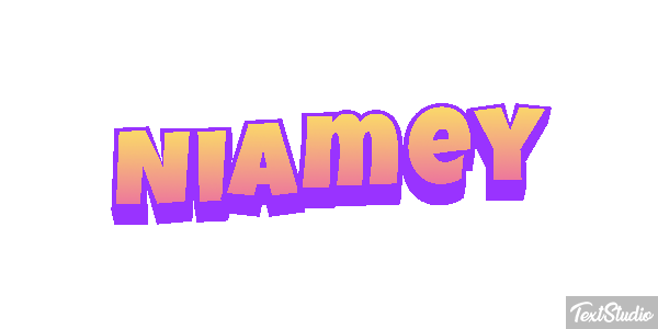 Niamey Efekt tekstowy