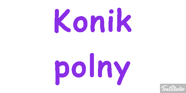 Konik polny Efekt tekstowy