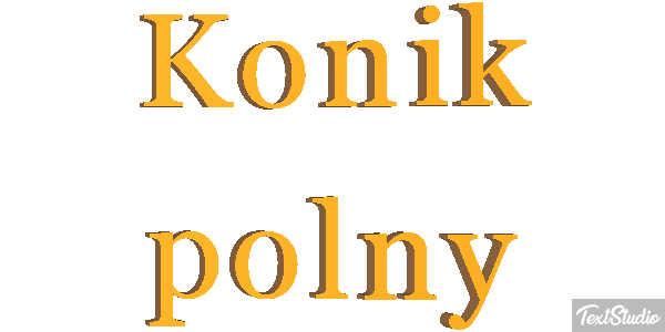Konik polny Efekt tekstowy