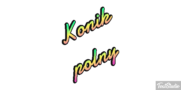 Konik polny Efekt tekstowy