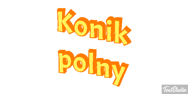 Konik polny Efekt tekstowy