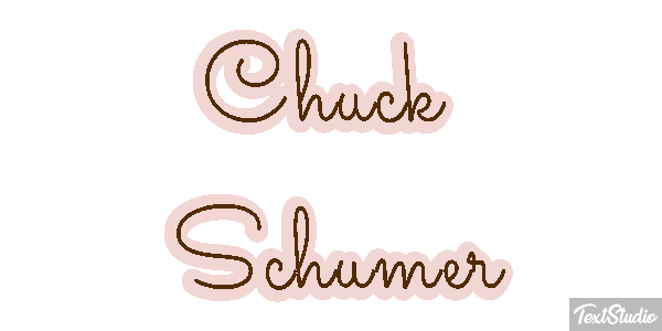 Chuck Schumer Text effect