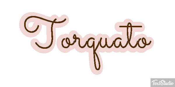 Torquato Текстовый эффект