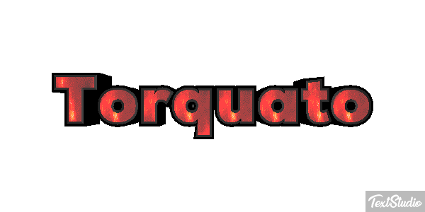Torquato Текстовый эффект