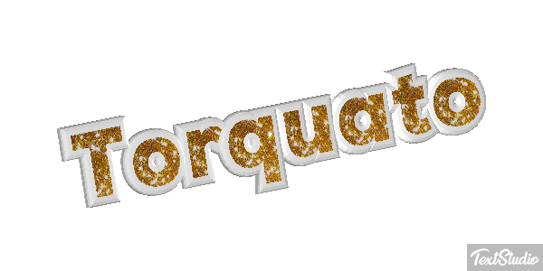Torquato Текстовый эффект