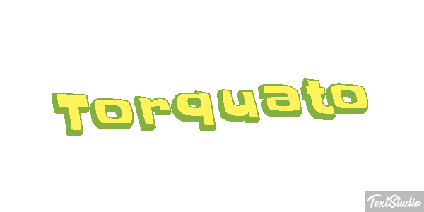 Torquato Текстовый эффект