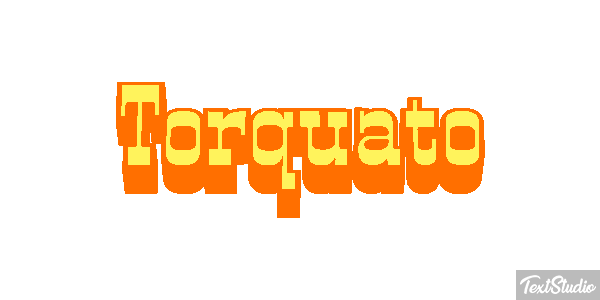 Torquato Текстовый эффект