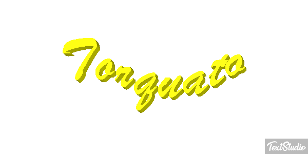 Torquato Текстовый эффект