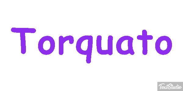 Torquato Текстовый эффект