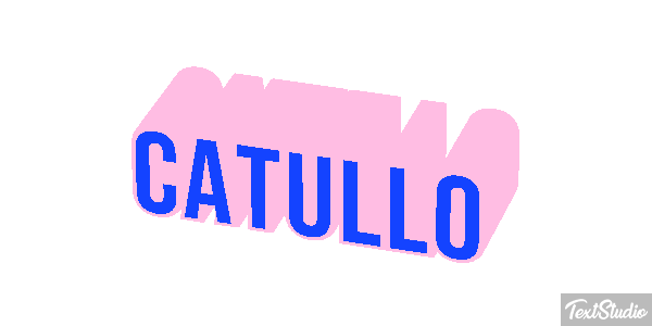 Catullo Effetto testo