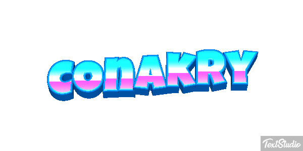 Conakry Effet de texte