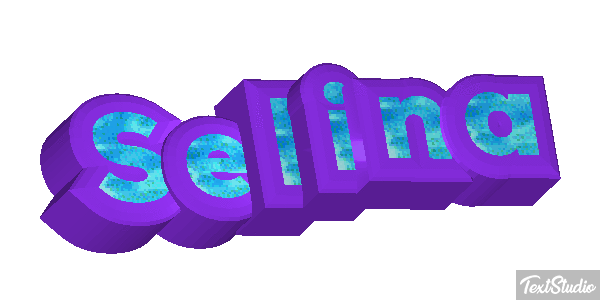 Selina Text effect