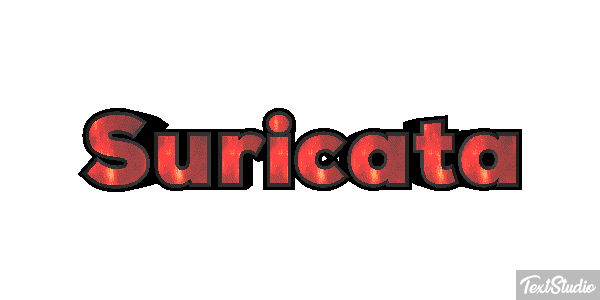 Suricata Efecto de texto