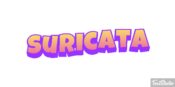 Suricata Efecto de texto