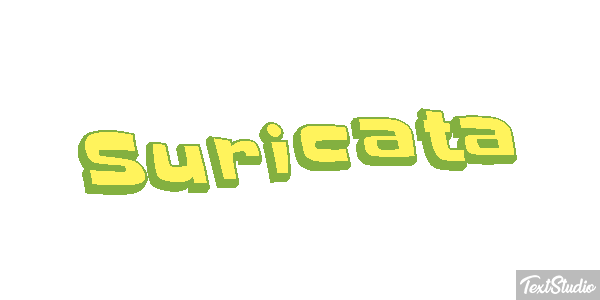 Suricata Efecto de texto