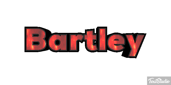 Bartley Текстовый эффект