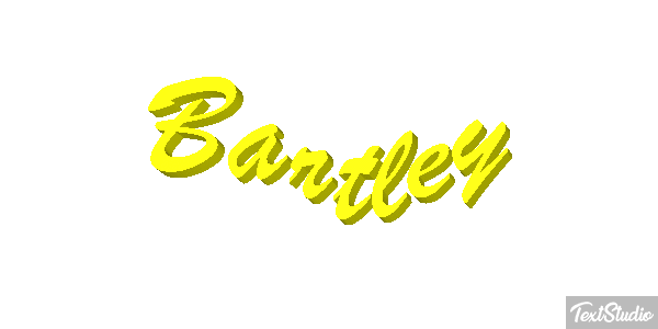 Bartley Текстовый эффект