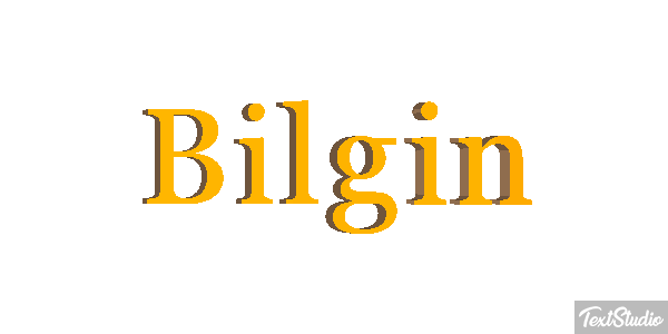 Bilgin Metin efekti