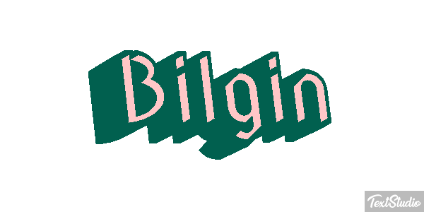 Bilgin Metin efekti