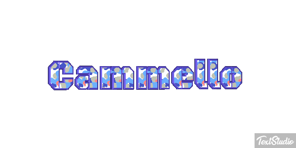Cammello Effetto testo