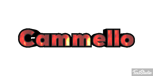 Cammello Effetto testo